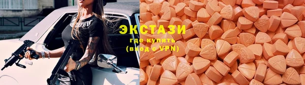 прущие грибы Богородицк