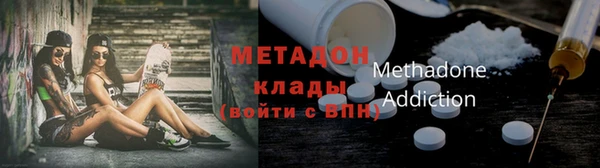 прущие грибы Богородицк