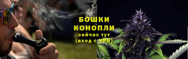 прущие грибы Богородицк