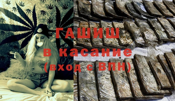 прущие грибы Богородицк