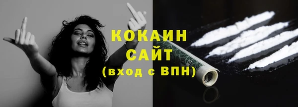 прущие грибы Богородицк