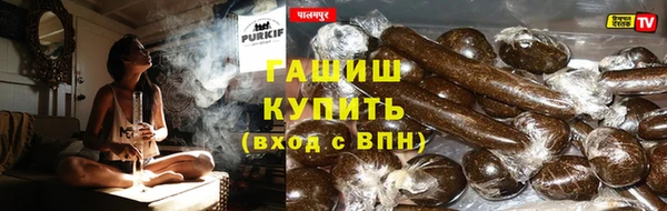 прущие грибы Богородицк